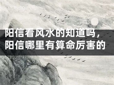 阳信看风水的知道吗，阳信哪里有算命厉害的