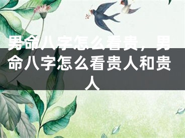 男命八字怎么看贵，男命八字怎么看贵人和贵人