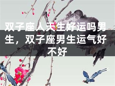 双子座人天生好运吗男生，双子座男生运气好不好