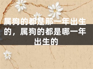 属狗的都是那一年出生的，属狗的都是哪一年出生的