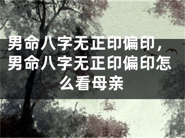 男命八字无正印偏印,男命八字无正印偏印怎么看母亲