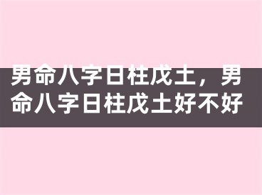 男命八字日柱戊土，男命八字日柱戊土好不好