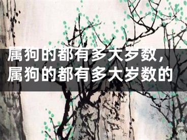 属狗的都有多大岁数，属狗的都有多大岁数的