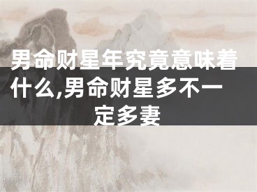 男命财星年究竟意味着什么,男命财星多不一定多妻