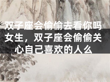 双子座会偷偷去看你吗女生,双子座会偷偷关心自己喜欢的人么