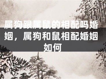 属狗跟属鼠的相配吗婚姻，属狗和鼠相配婚姻如何