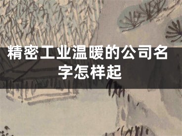 精密工业温暖的公司名字怎样起