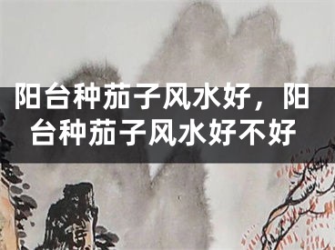 阳台种茄子风水好,阳台种茄子风水好不好
