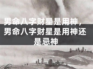 男命八字财星是用神，男命八字财星是用神还是忌神
