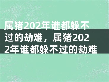 属猪202年谁都躲不过的劫难，属猪2022年谁都躲不过的劫难