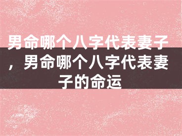 男命哪个八字代表妻子，男命哪个八字代表妻子的命运