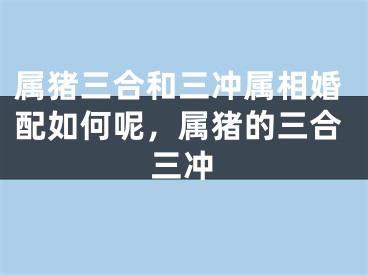 属猪三合和三冲属相婚配如何呢,属猪的三合三冲