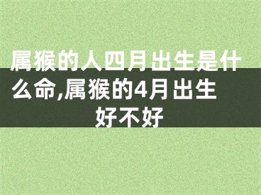 属猴的人四月出生是什么命,属猴的4月出生好不好