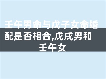 壬午男命与戊子女命婚配是否相合,戊戌男和壬午女