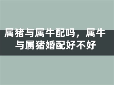 属猪与属牛配吗，属牛与属猪婚配好不好
