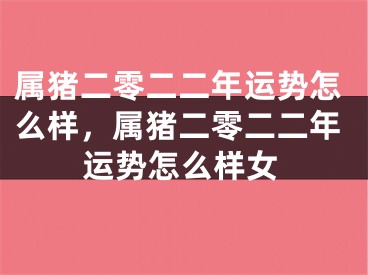 属猪二零二二年运势怎么样,属猪二零二二年运势怎么样女