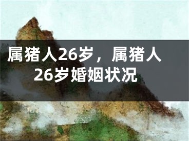 属猪人26岁，属猪人26岁婚姻状况