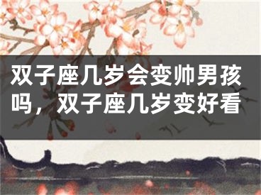 双子座几岁会变帅男孩吗，双子座几岁变好看