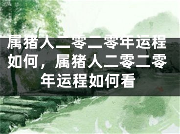 属猪人二零二零年运程如何,属猪人二零二零年运程如何看