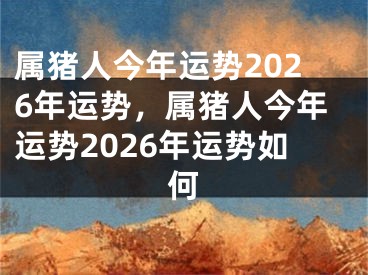 属猪人今年运势2026年运势，属猪人今年运势2026年运势如何