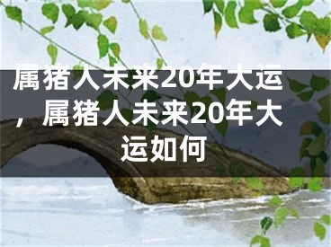 属猪人未来20年大运，属猪人未来20年大运如何