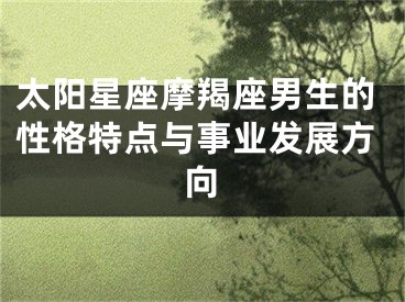 太阳星座摩羯座男生的性格特点与事业发展方向