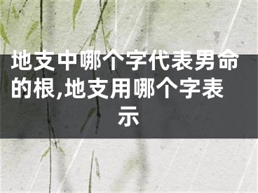 地支中哪个字代表男命的根,地支用哪个字表示