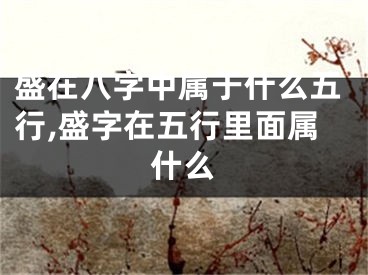 盛在八字中属于什么五行,盛字在五行里面属什么