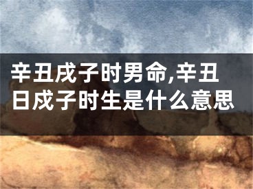辛丑戌子时男命,辛丑日戍子时生是什么意思