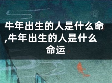 牛年出生的人是什么命,牛年出生的人是什么命运