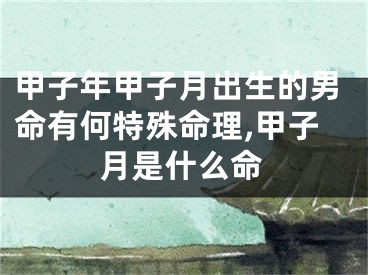 甲子年甲子月出生的男命有何特殊命理,甲子月是什么命