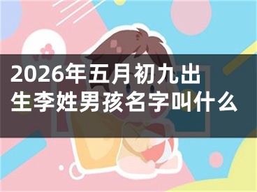 2026年五月初九出生李姓男孩名字叫什么