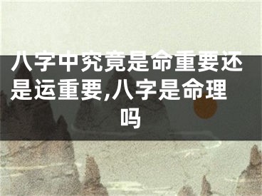 八字中究竟是命重要还是运重要,八字是命理吗