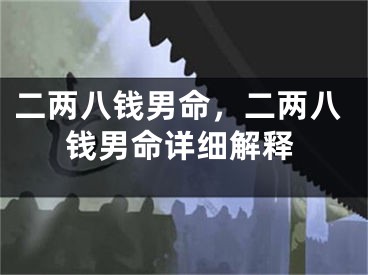 二两八钱男命，二两八钱男命详细解释