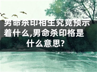男命杀印相生究竟预示着什么,男命杀印格是什么意思?