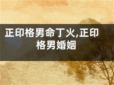 正印格男命丁火,正印格男婚姻