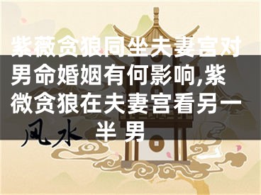 紫薇贪狼同坐夫妻宫对男命婚姻有何影响,紫微贪狼在夫妻宫看另一半 男