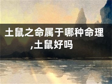 土鼠之命属于哪种命理,土鼠好吗