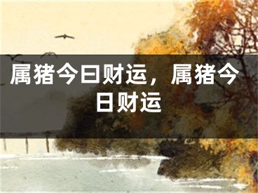 属猪今曰财运，属猪今日财运