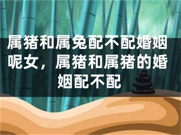 属猪和属兔配不配婚姻呢女，属猪和属猪的婚姻配不配