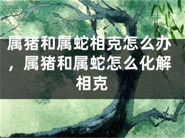 属猪和属蛇相克怎么办,属猪和属蛇怎么化解相克