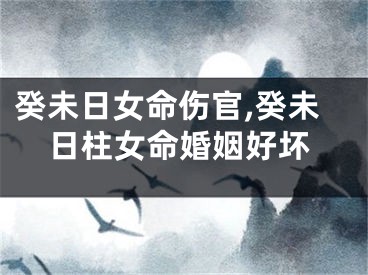 癸未日女命伤官,癸未日柱女命婚姻好坏