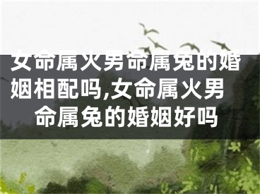 女命属火男命属兔的婚姻相配吗,女命属火男命属兔的婚姻好吗
