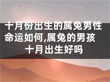 十月份出生的属兔男性命运如何,属兔的男孩十月出生好吗
