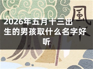 2026年五月十三出生的男孩取什么名字好听
