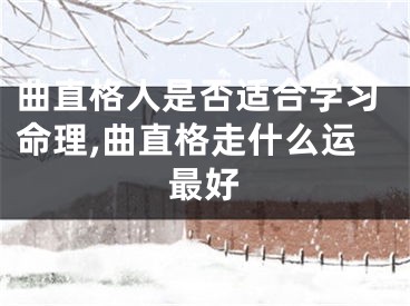 曲直格人是否适合学习命理,曲直格走什么运最好