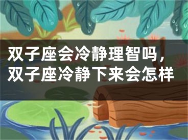 双子座会冷静理智吗，双子座冷静下来会怎样