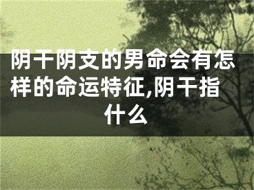 阴干阴支的男命会有怎样的命运特征,阴干指什么