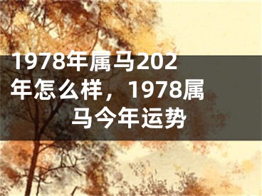 1978年属马202年怎么样，1978属马今年运势