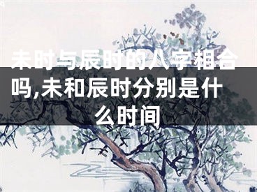未时与辰时的八字相合吗,未和辰时分别是什么时间
